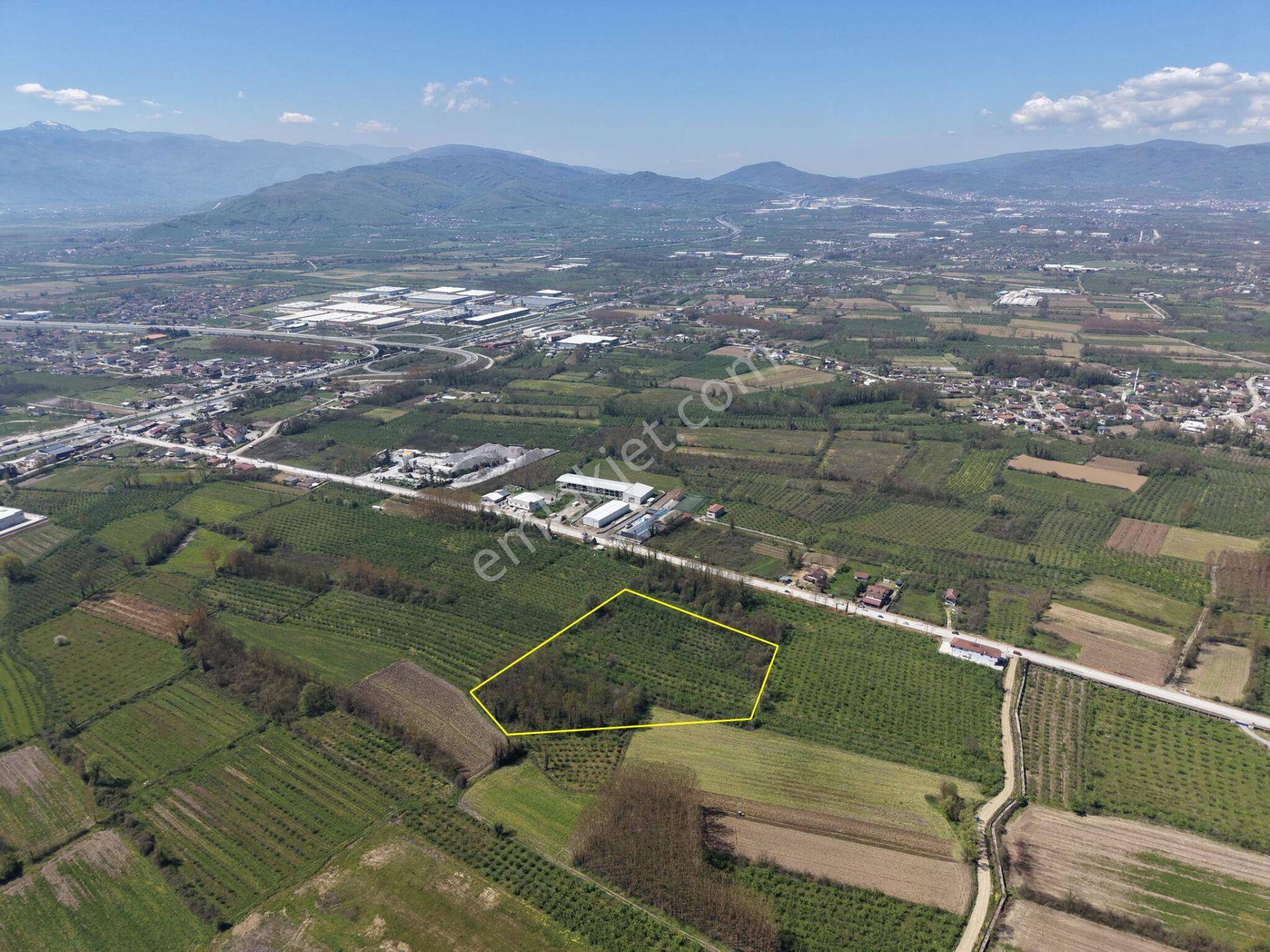 Çilimli Topçular Mahallesi’nde 9.605 M² Satılık Arsa - Görsel 24