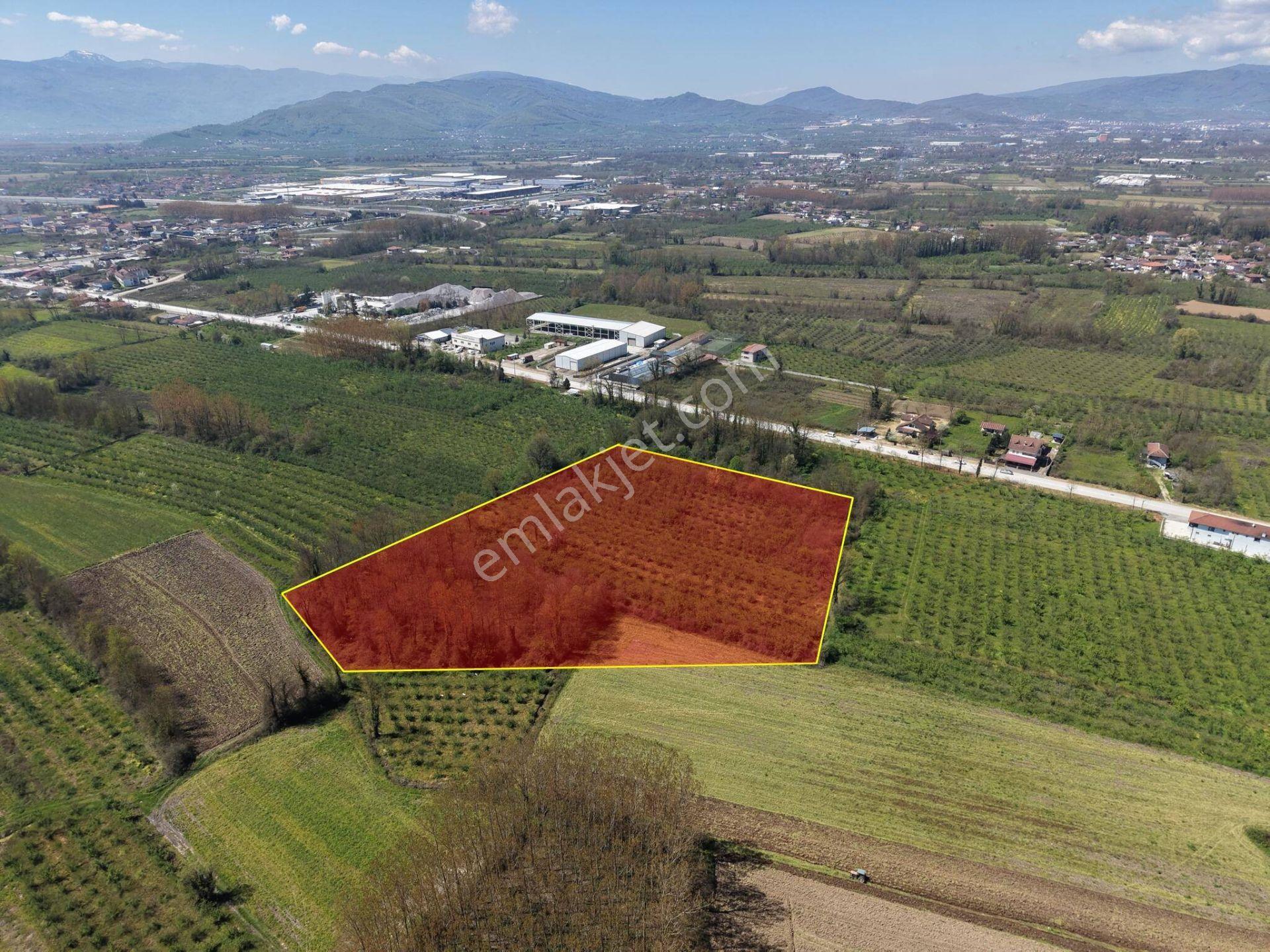 Çilimli Topçular Mahallesi’nde 9.605 M² Satılık Arsa - Görsel 15