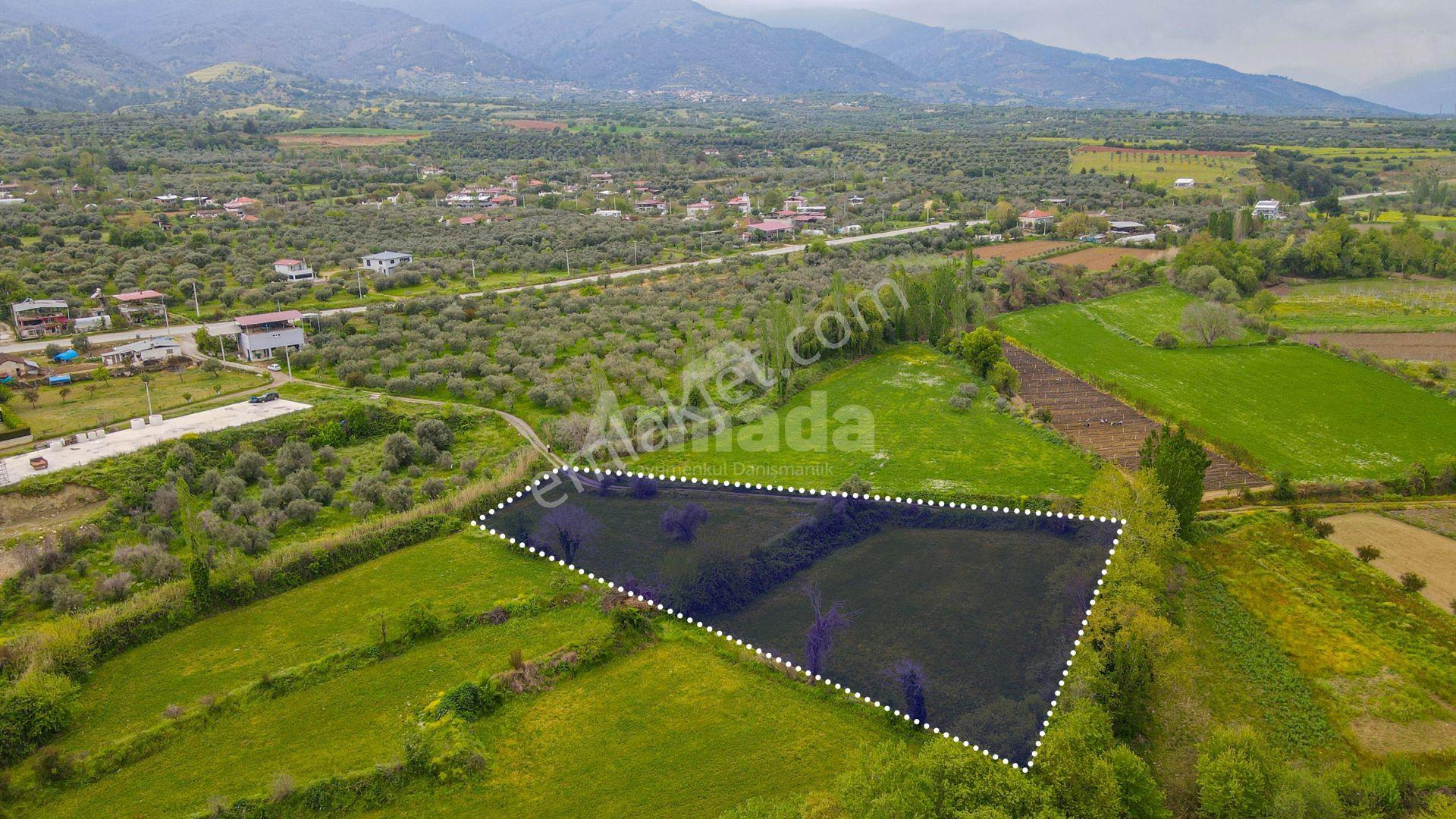 Aydın Karacasu'da Yatırımlık Fırsat Arazi - Görsel 7