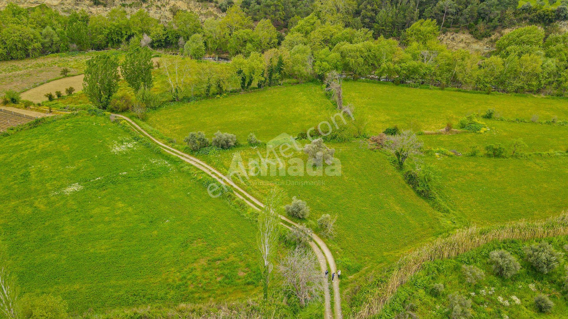 Aydın Karacasu'da Yatırımlık Fırsat Arazi