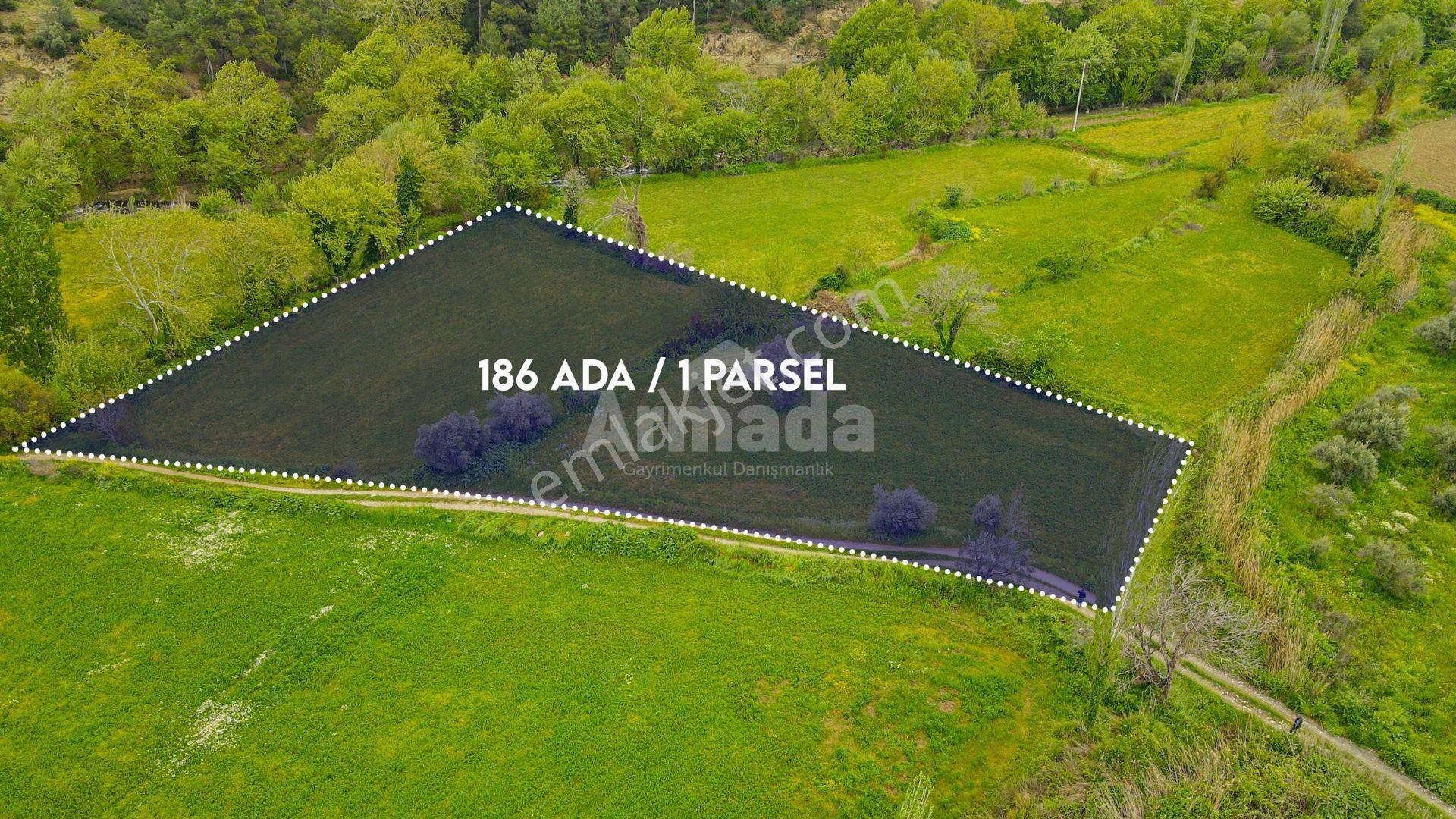 Aydın Karacasu'da Yatırımlık Fırsat Arazi - Görsel 2
