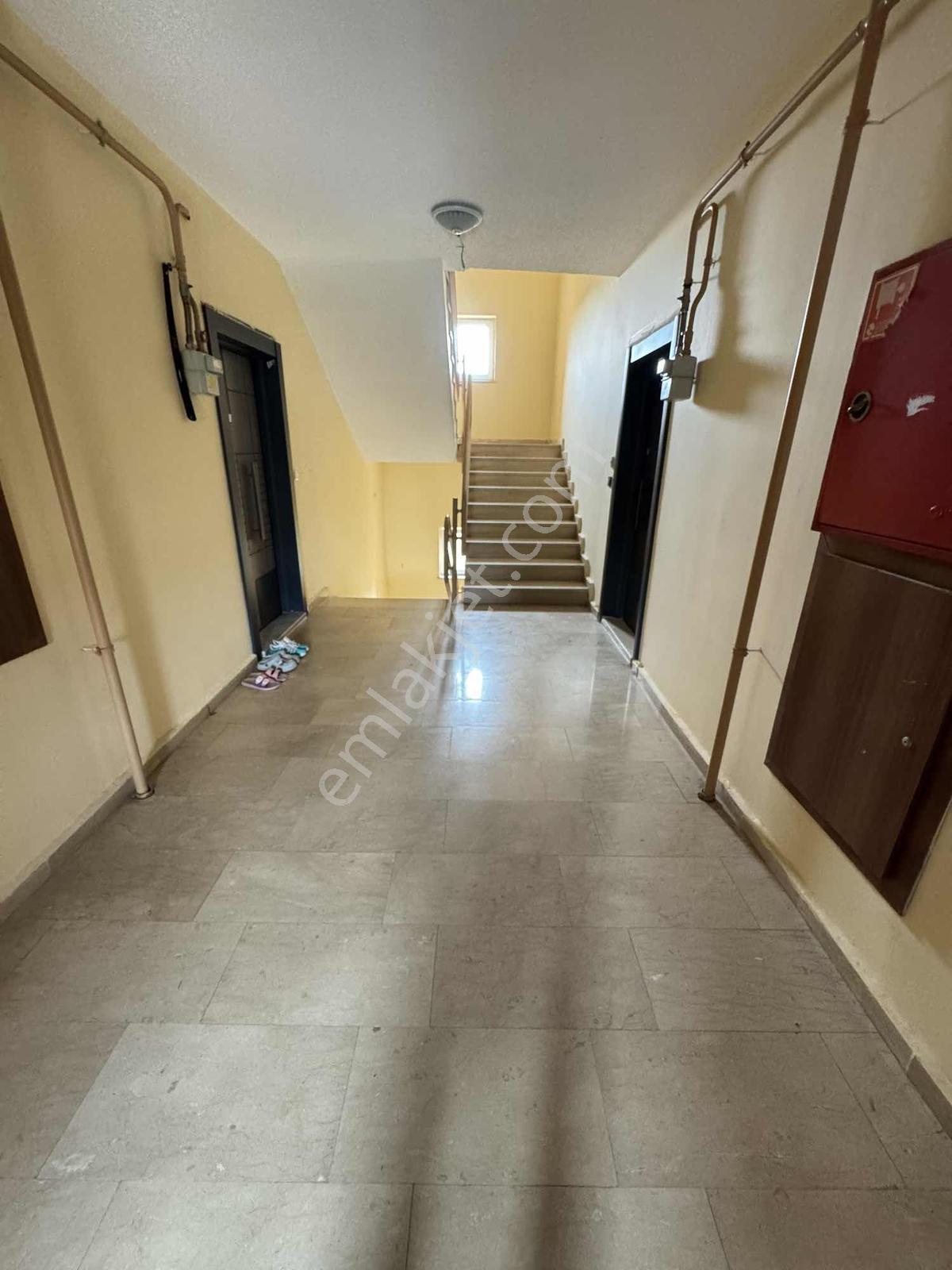 Korucuk İçi Yenilenmiş Satılık 1+1 Bakımlı Daire - Görsel 6