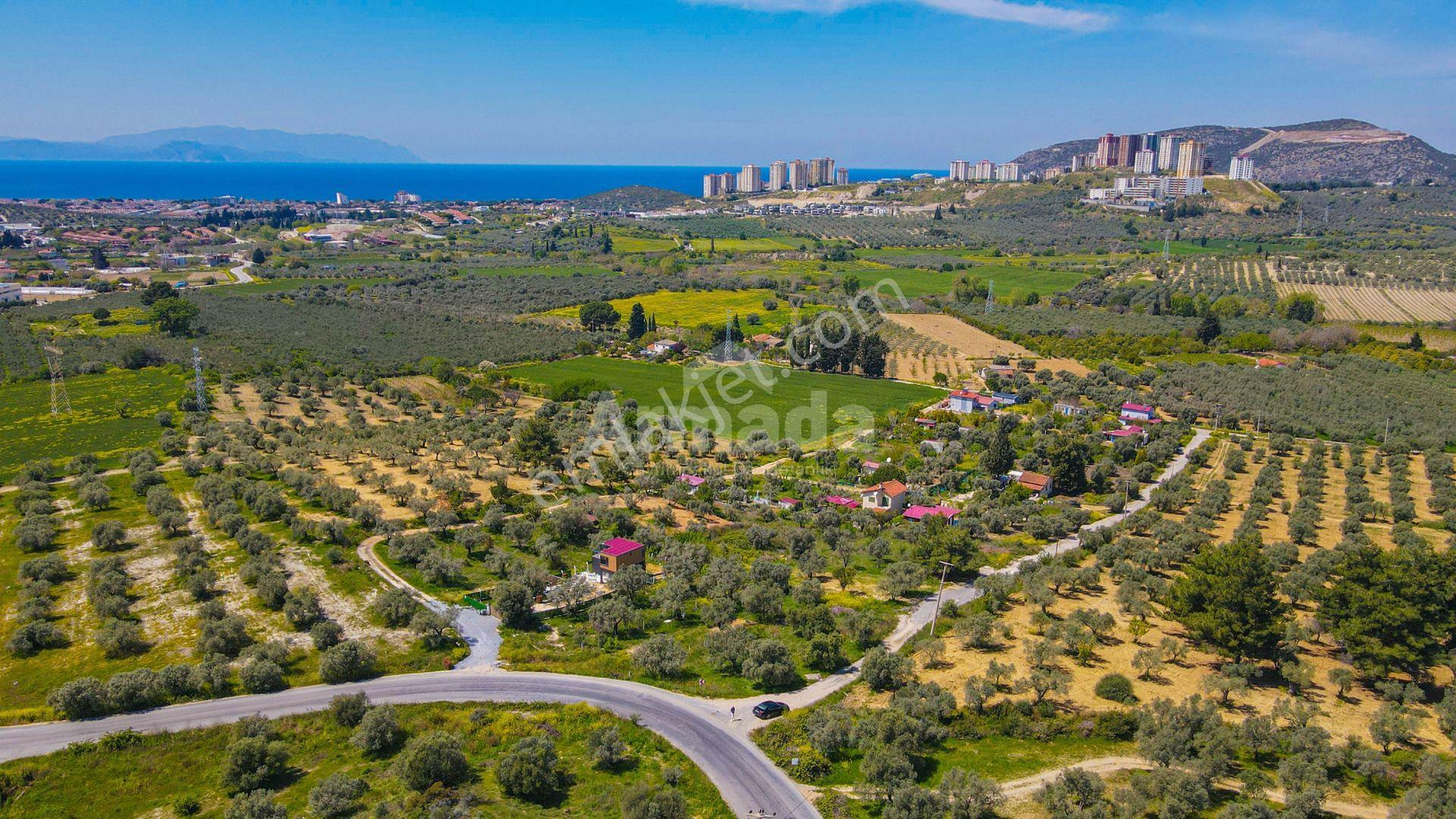 Kuşadası'nda Satılık İmarlı Arsa - Görsel 6