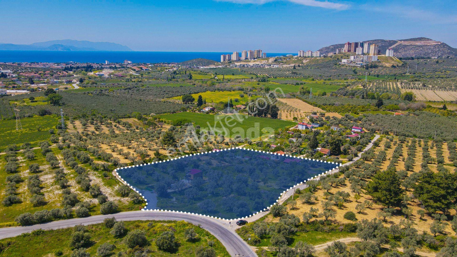 Kuşadası'nda Satılık İmarlı Manzaralı Fırsat Arsa