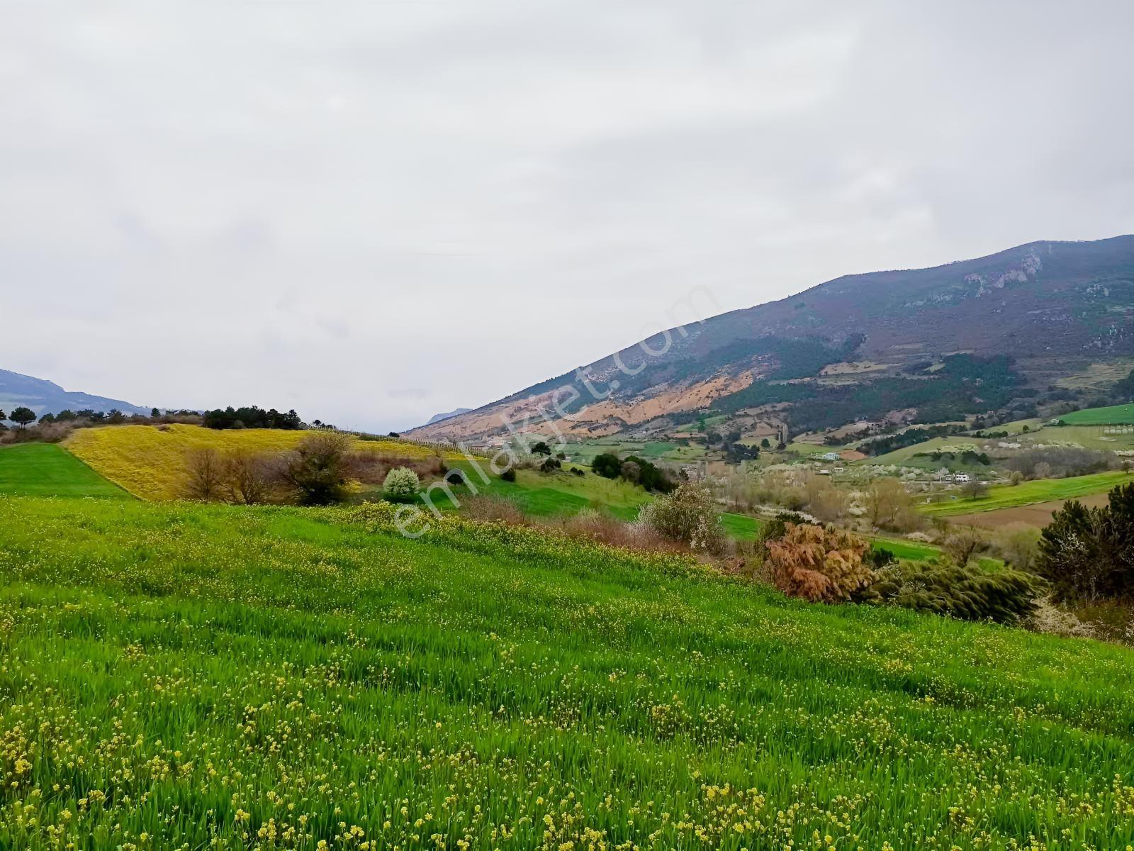 Sakarya Geyve Akdoğan Mahal Satılık 1430m2 Müstakil Yola Cepe Ar