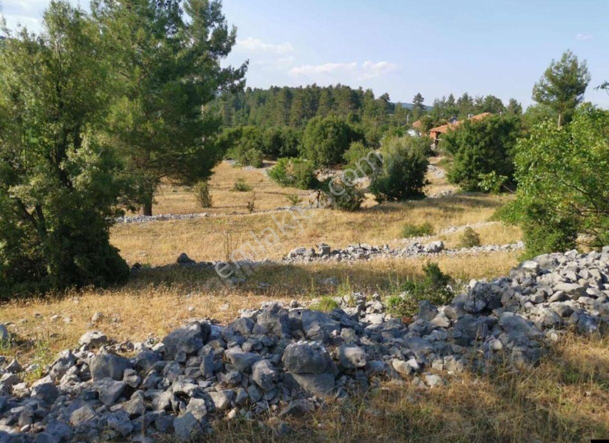 Doğa İçi İmarlı Arsalar,antalya 45.dakika,burdur,ısparta Komşu - Görsel 10