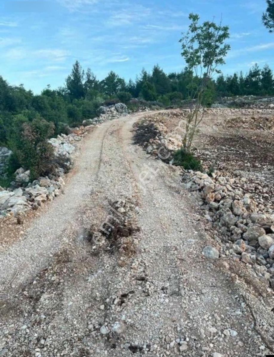 Doğa İçi İmarlı Arsalar,antalya 45.dakika,burdur,ısparta Komşu - Görsel 12
