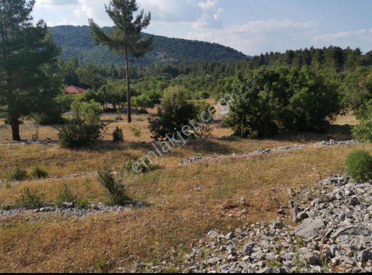Doğa İçi İmarlı Arsalar,antalya 45.dakika,burdur,ısparta Komşu - Görsel 7