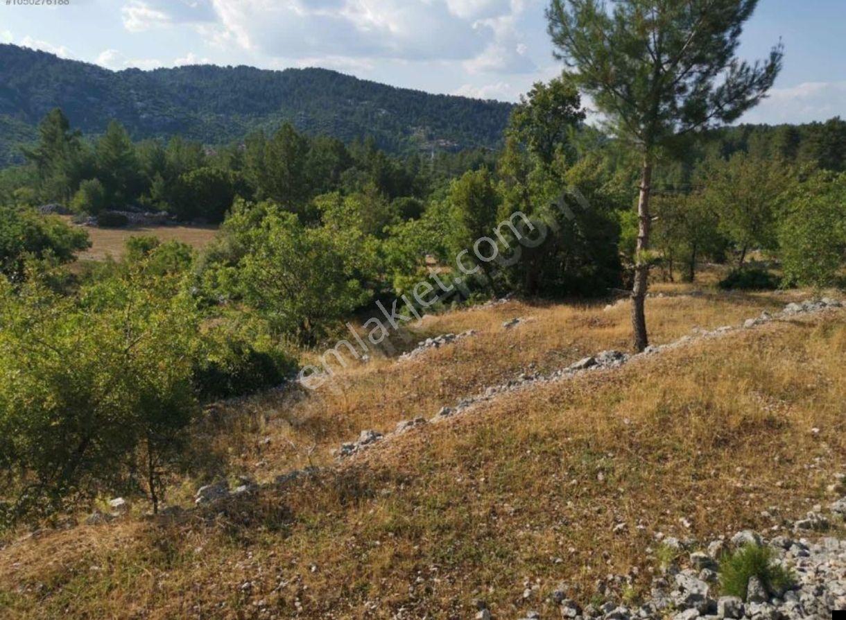 Doğa İçi İmarlı Arsalar,antalya 45.dakika,burdur,ısparta Komşu - Görsel 2