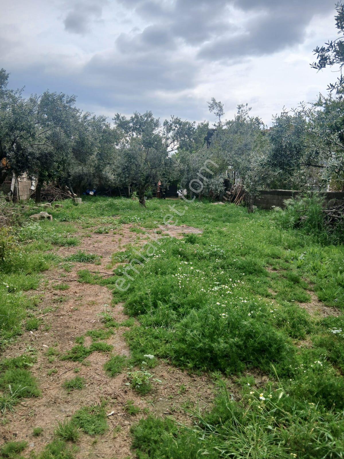 İzmir Bayındır Çırpıda 850m2 Arsa İçinde 3+1 Ev Satılık - Görsel 30