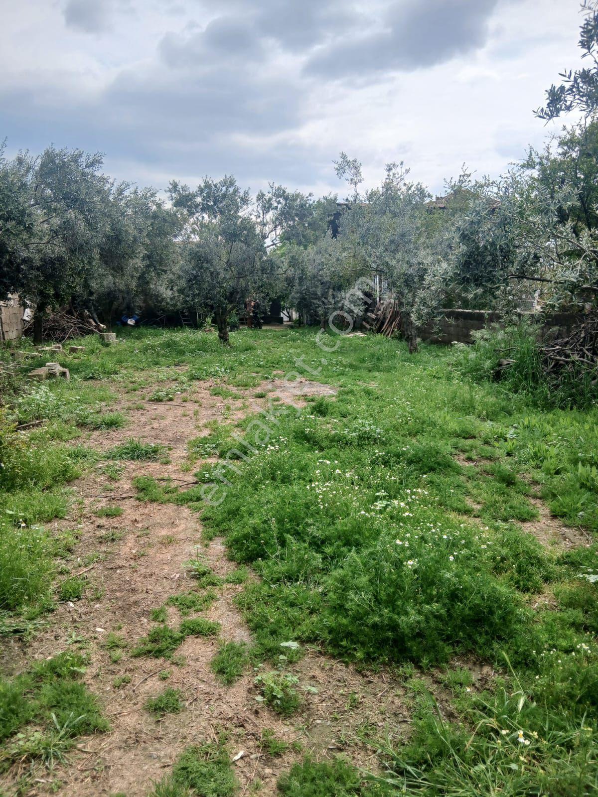 İzmir Bayındır Çırpıda 850m2 Arsa İçinde 3+1 Ev Satılık - Görsel 31