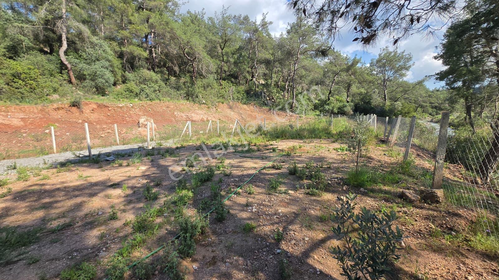 Balaban Göleti Yolunda 380 M² Elektrik Su Hazır Satılık Tarla - Görsel 21
