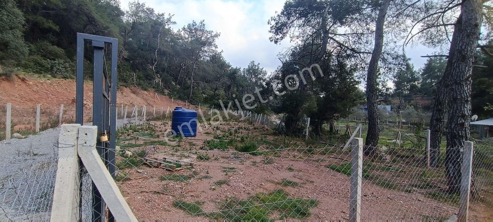 Balaban Göleti Yolunda 380 M² Elektrik Su Hazır Satılık Tarla - Görsel 6