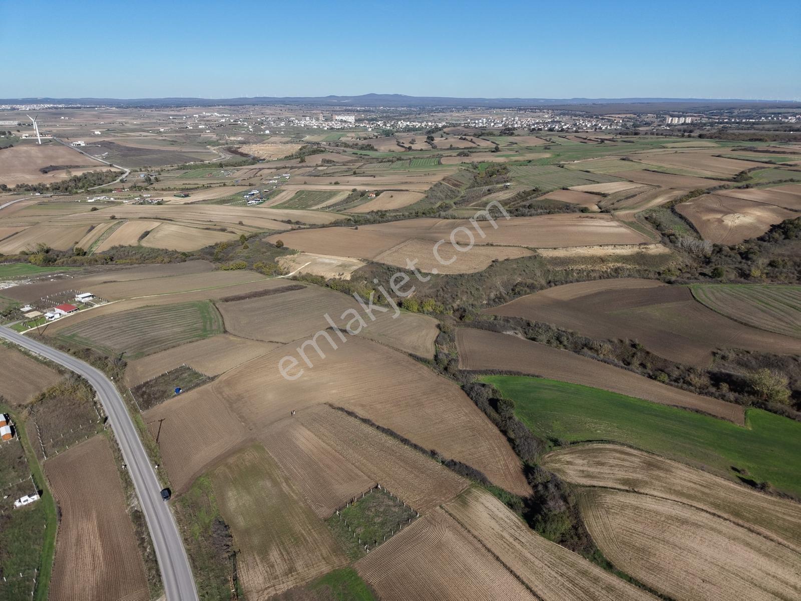 Varlı Kent'ten Tekirdağ'da 12 Dönümlük Yatırım Fırsatı Tarla - Görsel 3