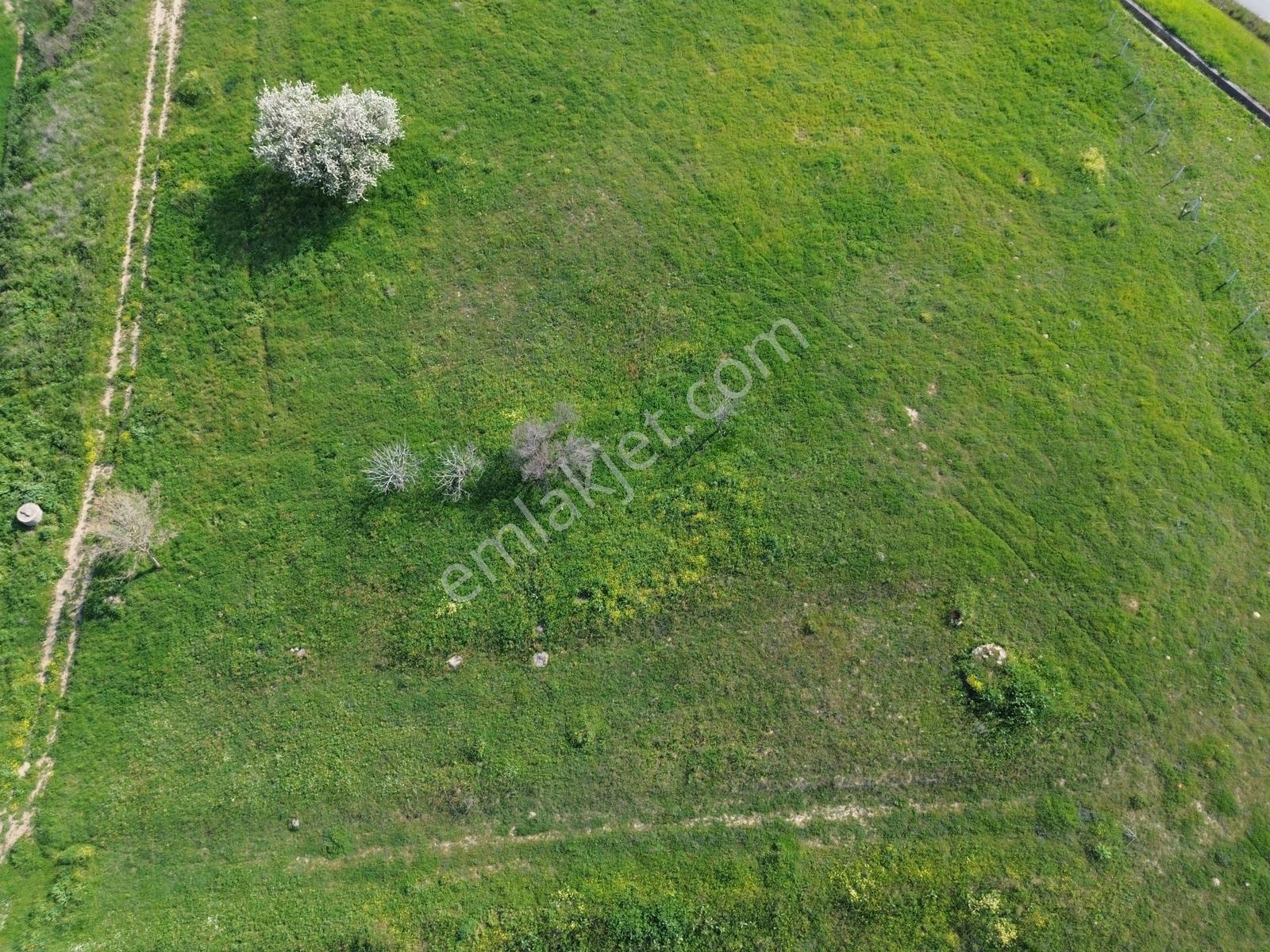 Marmara Ereğlisi Sultanköy'de 1.800 M2 Ticari İmarlı Arsa - Görsel 16