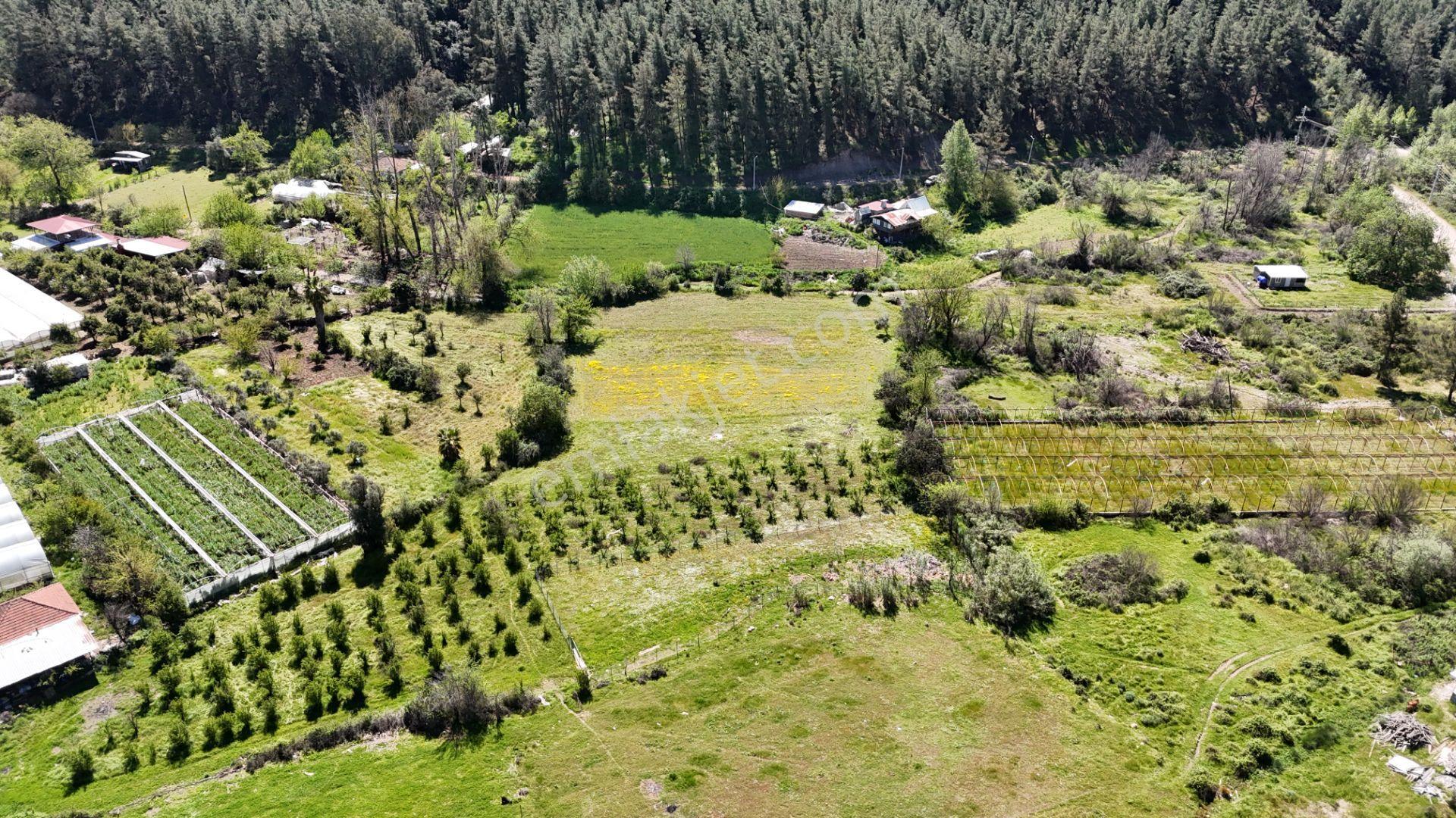 Antalya Kumluca Karacaören Mahallesinde Satılık Müstakil Bahçe - Görsel 15