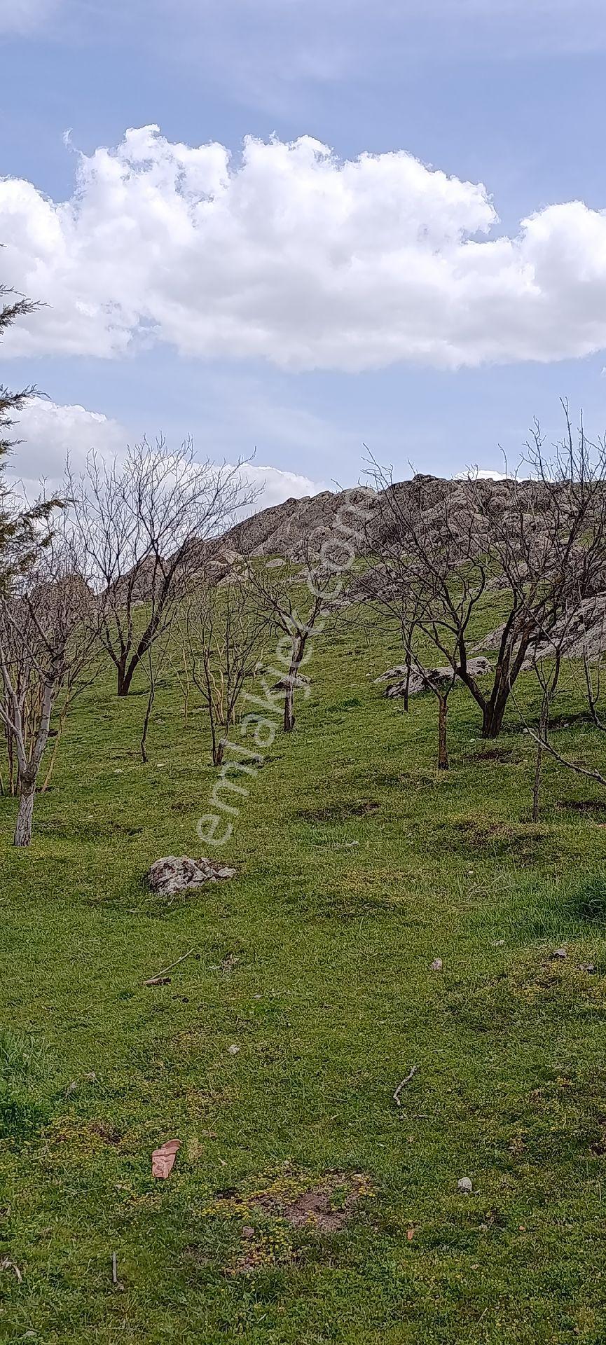 Ankara Gölbaşı Oyaca Da Satılık Arsa - Görsel 5