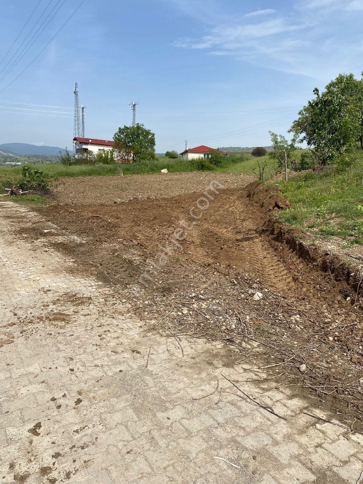 Taşova Tepe Mah - Görsel 2