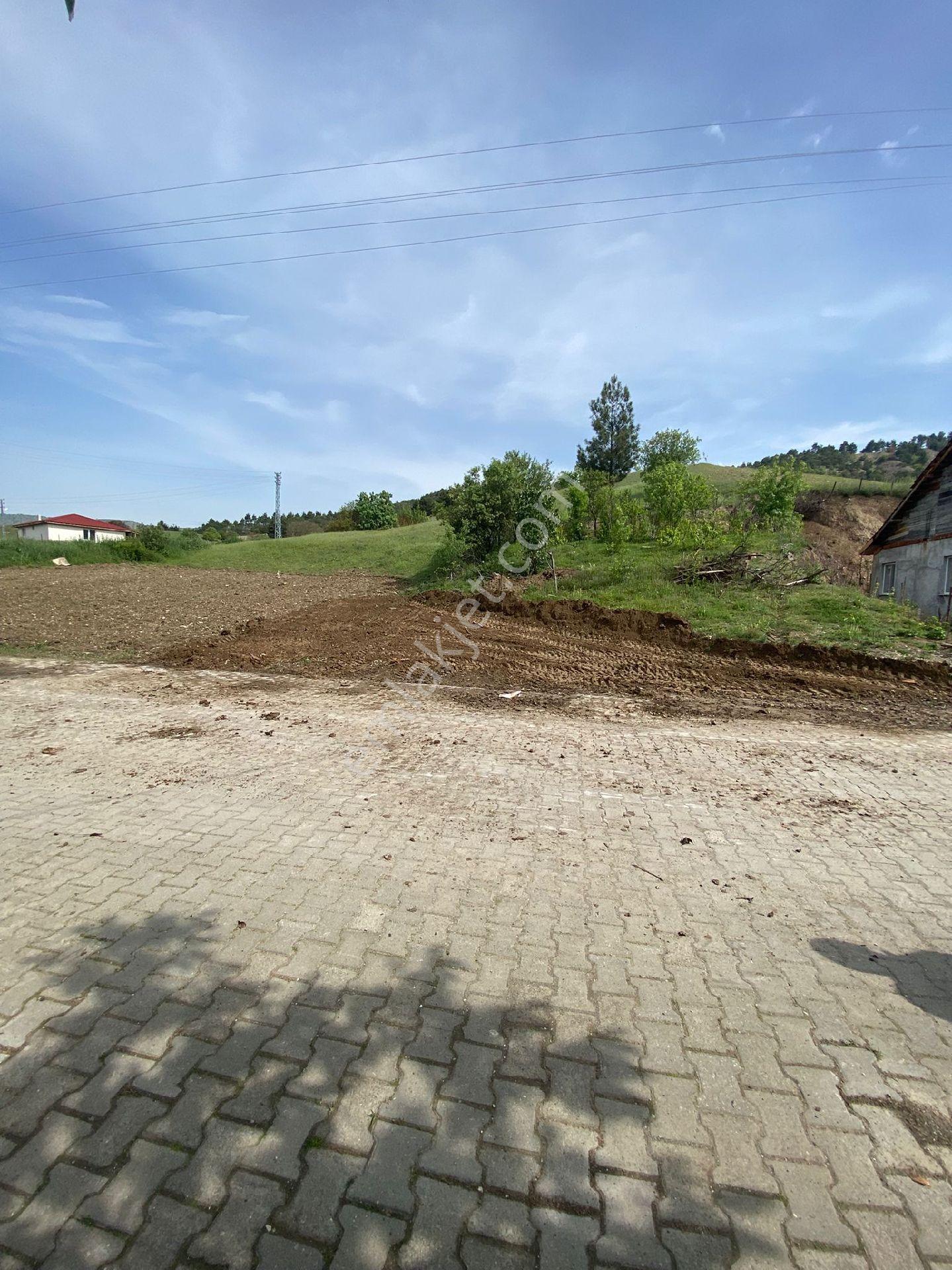 Taşova Tepe Mah - Görsel 3