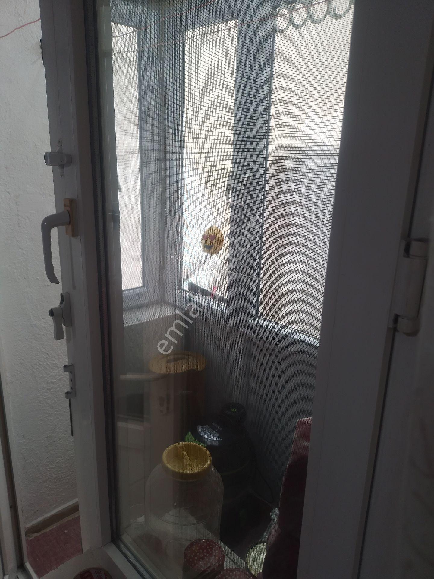 ...acil... 2+1 Daire Yeni Mah Sunduk Sokakta - Görsel 15