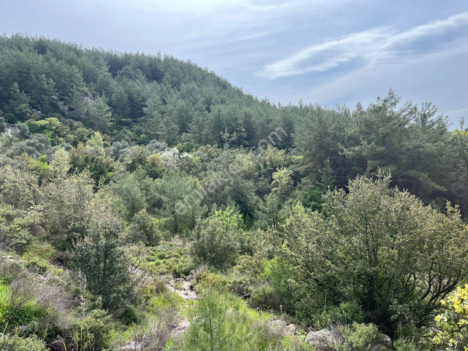 Karia Uygarlığı İzlerinde Yatırımlık 20.249 M² Satılık Tarla - Görsel 6