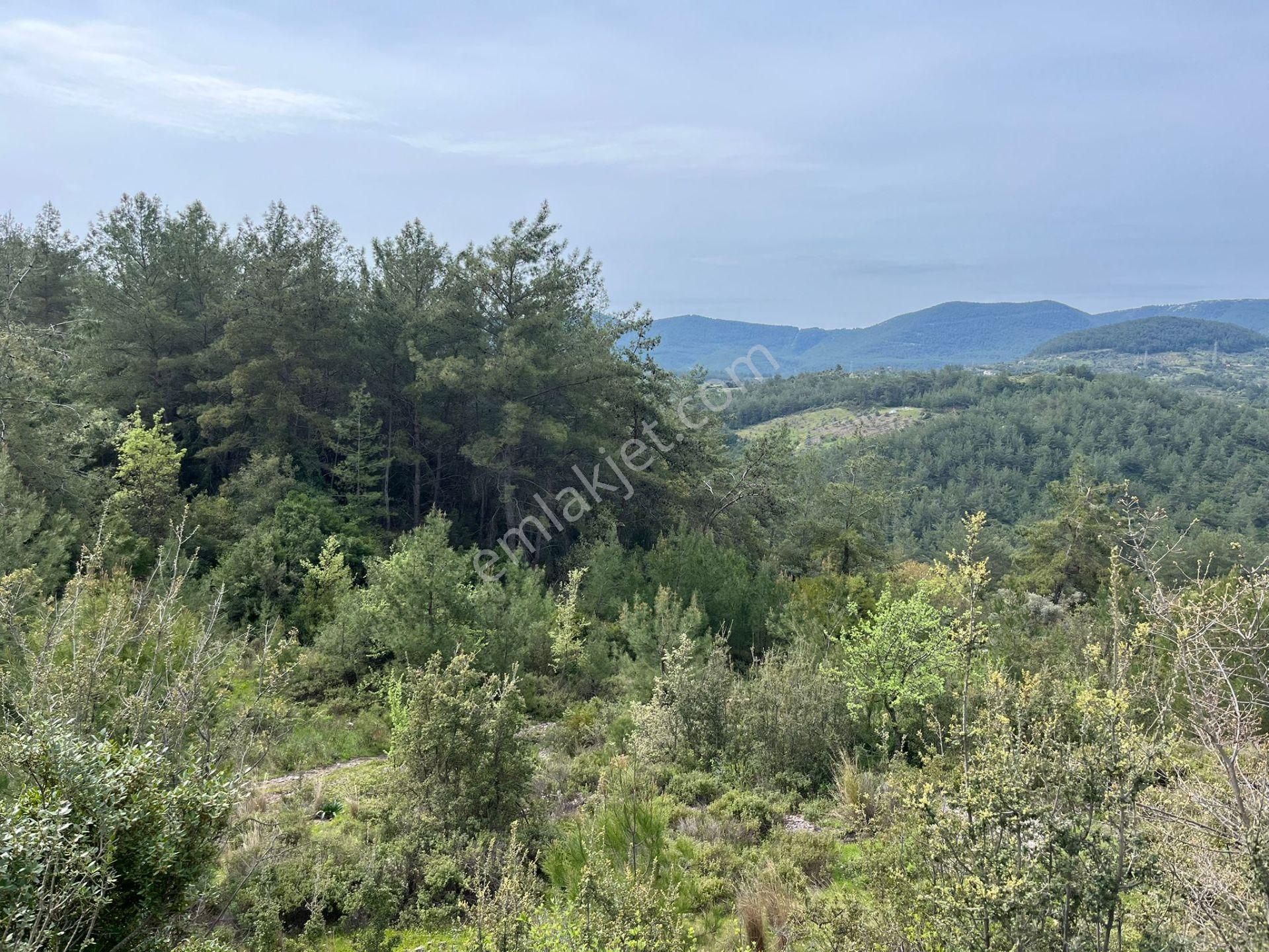 Karia Uygarlığı İzlerinde Yatırımlık 20.249 M² Satılık Tarla - Görsel 9