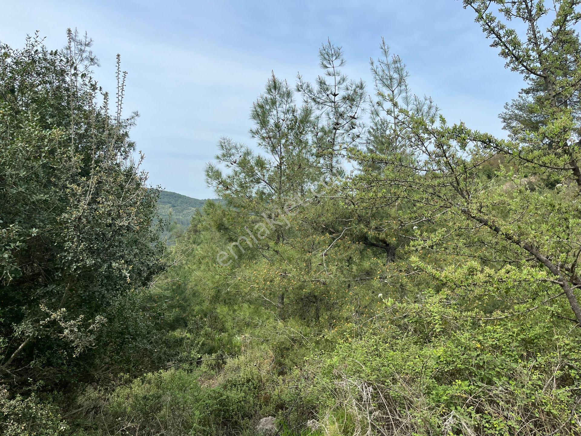Karia Uygarlığı İzlerinde Yatırımlık 20.249 M² Satılık Tarla - Görsel 13