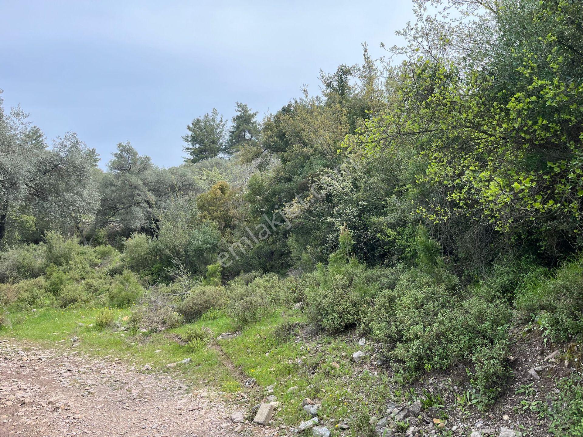 Karia Uygarlığı İzlerinde Yatırımlık 20.249 M² Satılık Tarla - Görsel 12