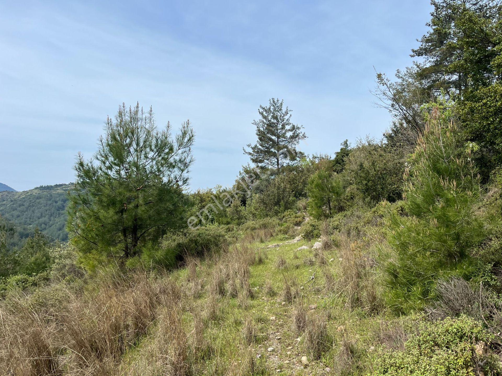 Karia Uygarlığı İzlerinde Yatırımlık 20.249 M² Satılık Tarla - Görsel 28