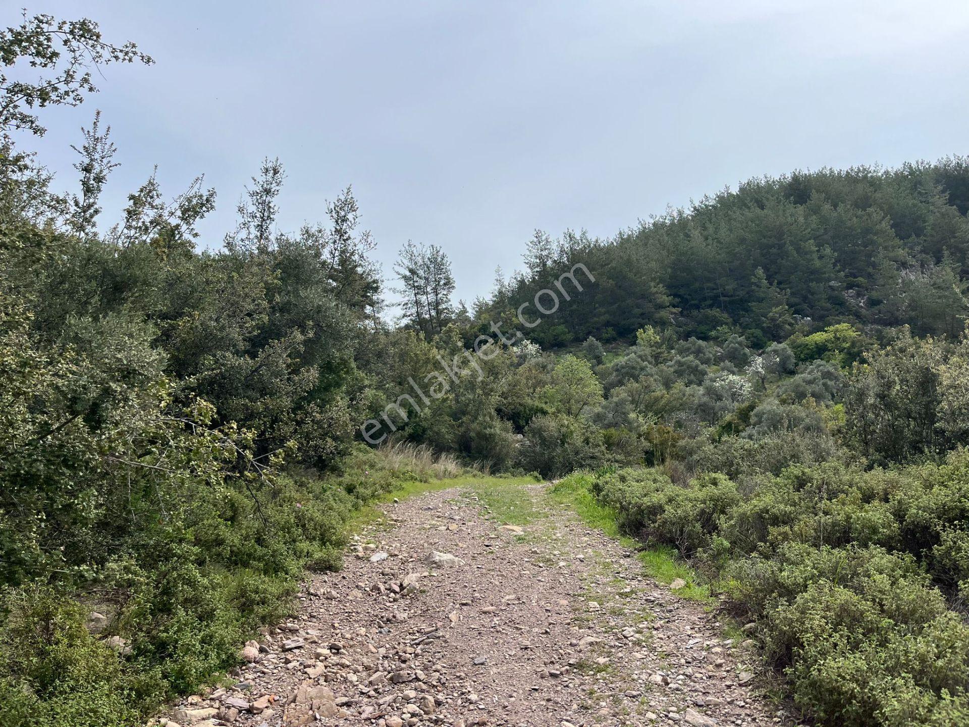 Karia Uygarlığı İzlerinde Yatırımlık 20.249 M² Satılık Tarla - Görsel 5
