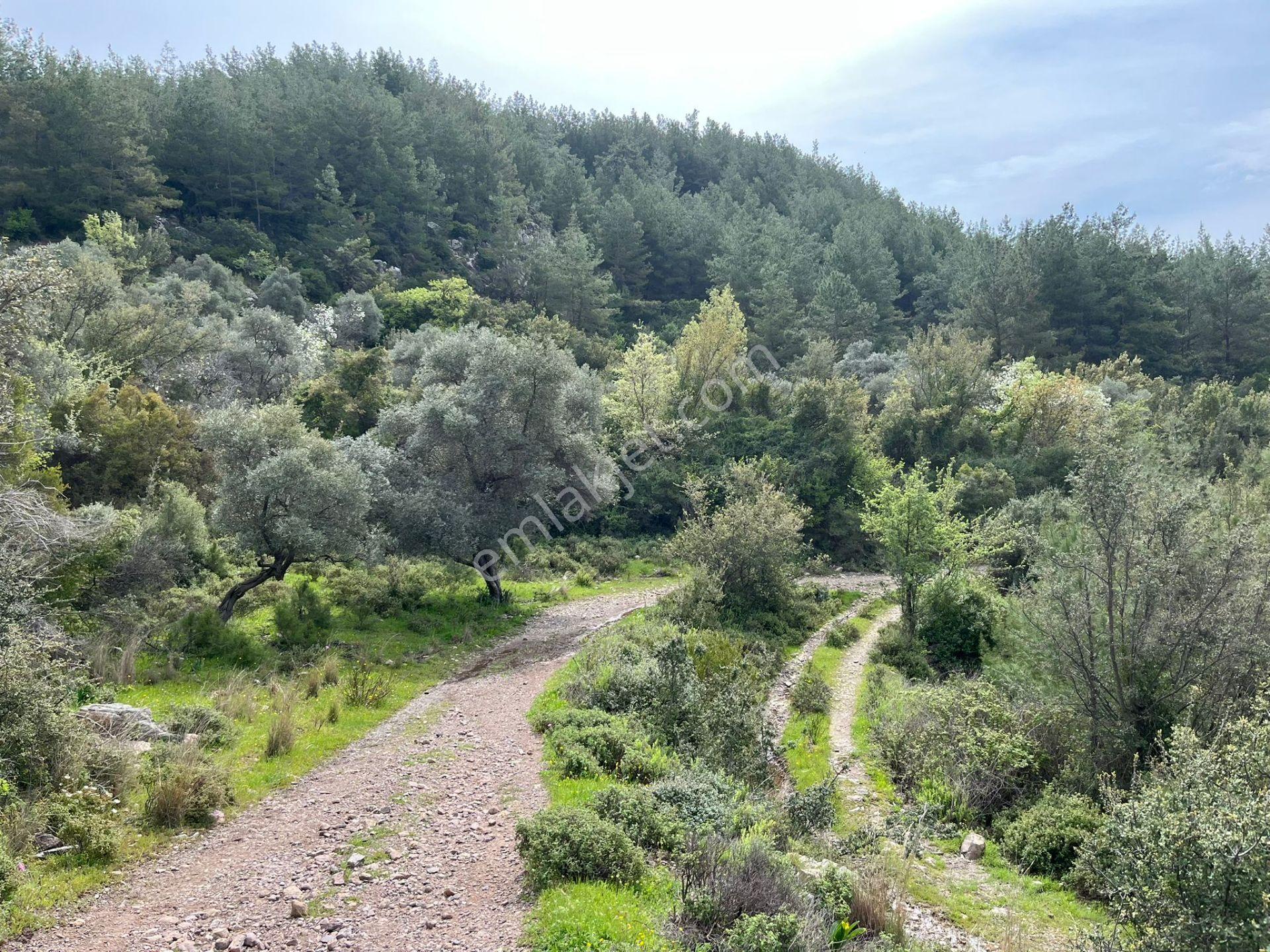 Karia Uygarlığı İzlerinde Yatırımlık 20.249 M² Satılık Tarla - Görsel 7