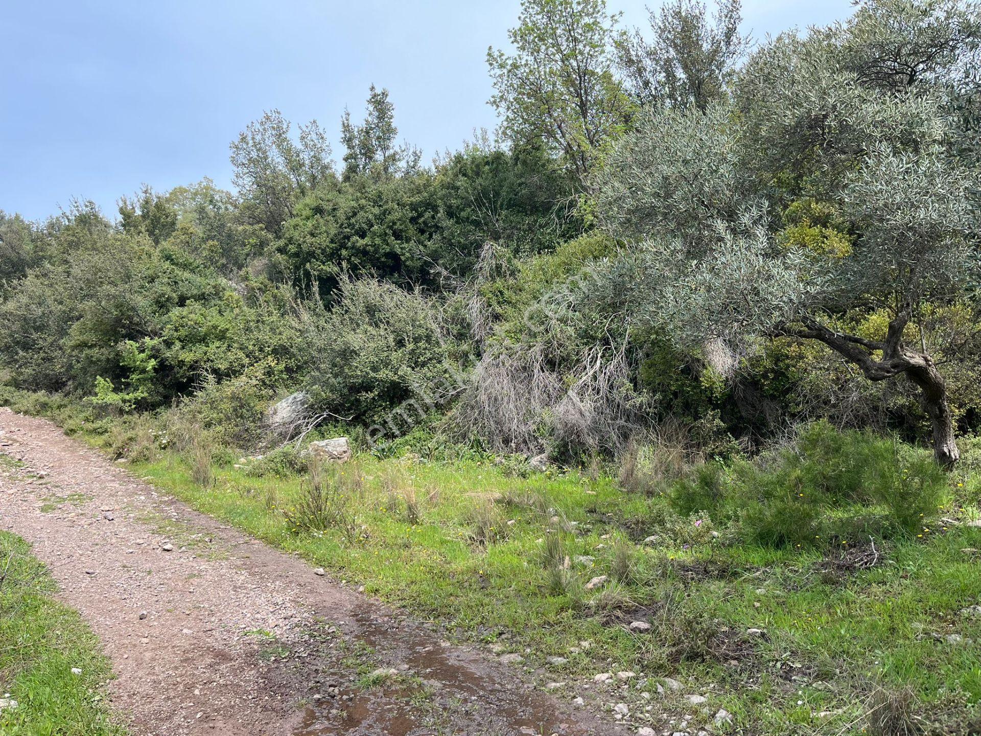 Karia Uygarlığı İzlerinde Yatırımlık 20.249 M² Satılık Tarla - Görsel 10