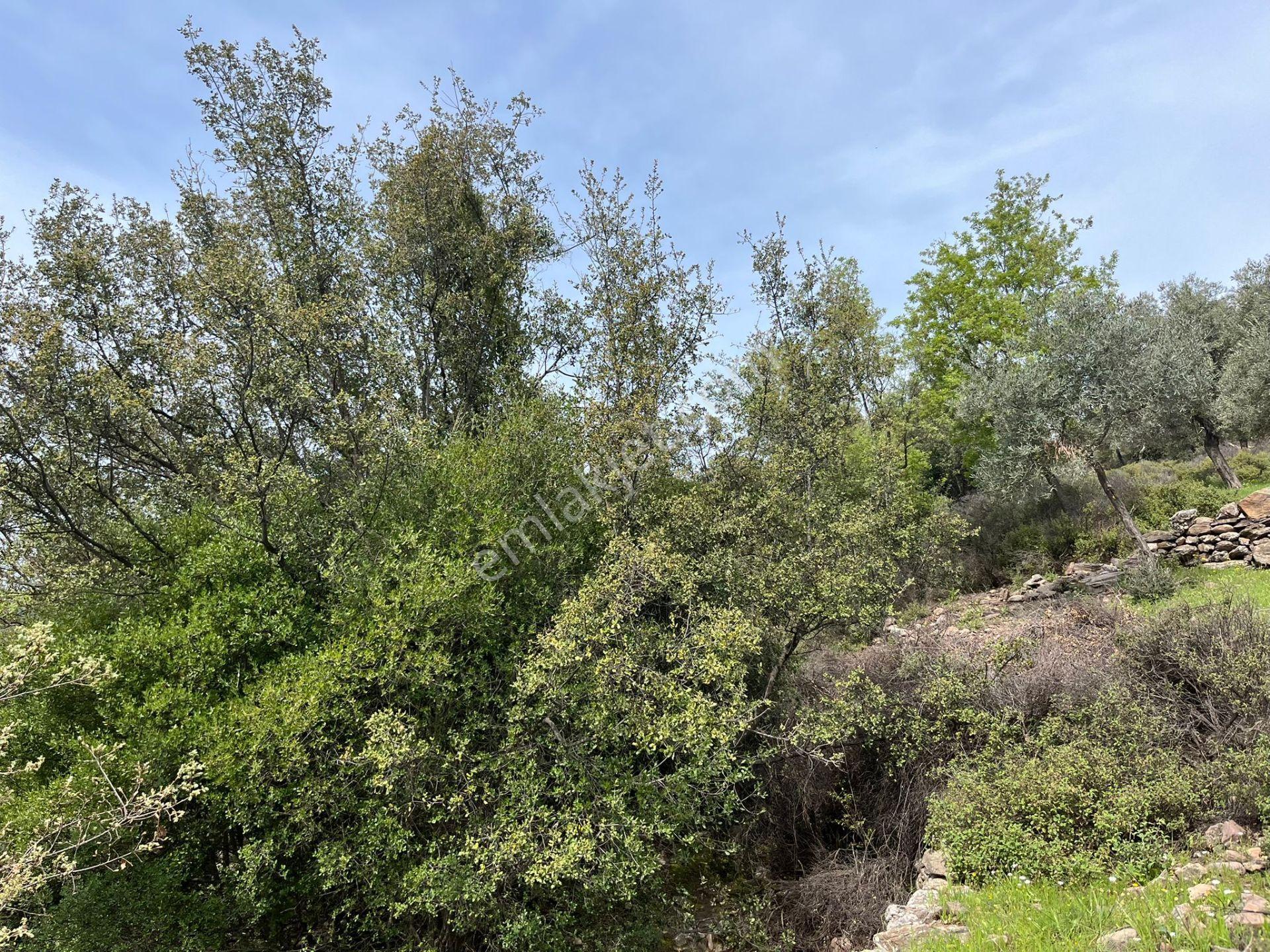 Karia Uygarlığı İzlerinde Yatırımlık 20.249 M² Satılık Tarla - Görsel 18