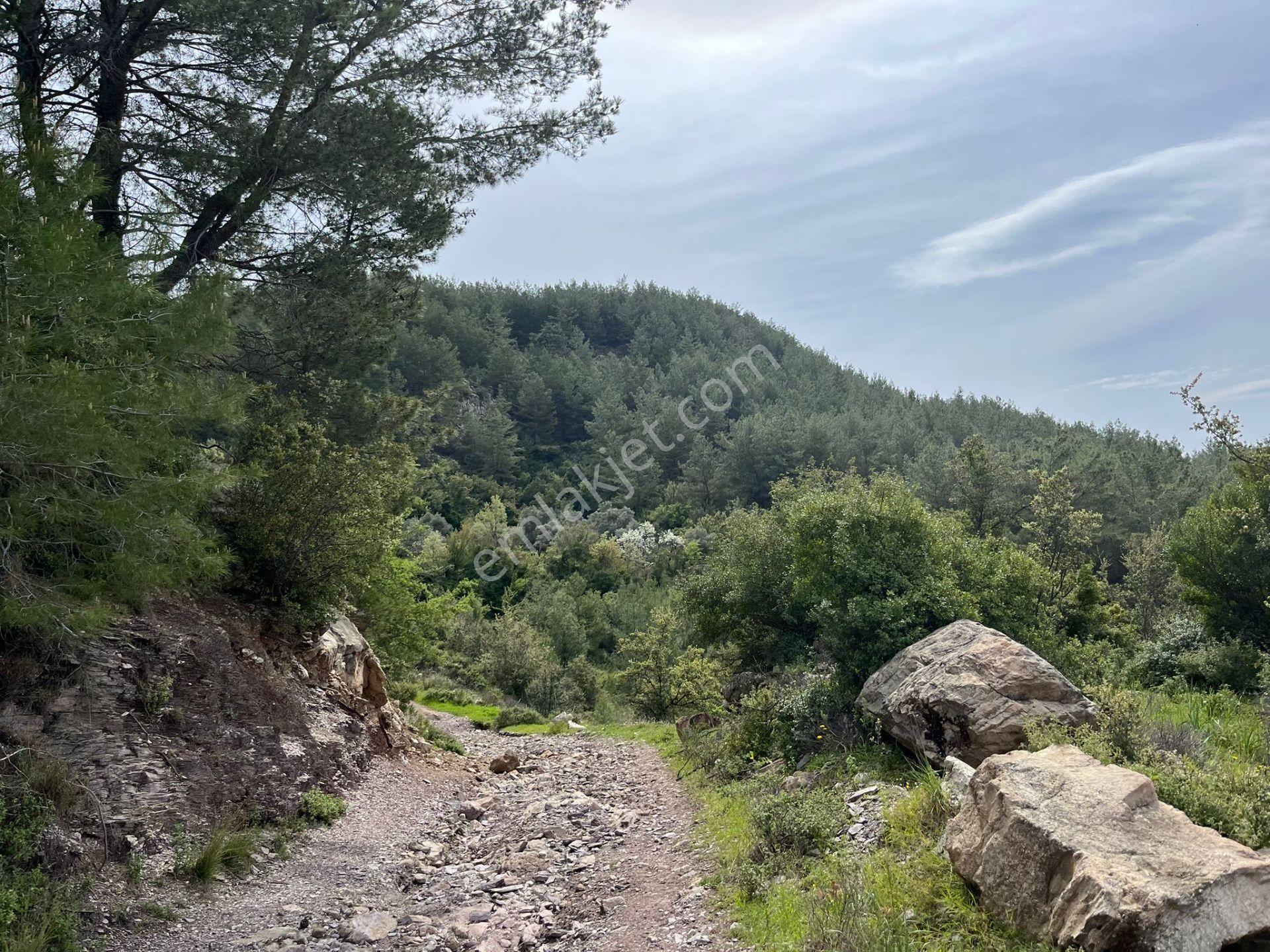 Karia Uygarlığı İzlerinde Yatırımlık 20.249 M² Satılık Tarla - Görsel 3