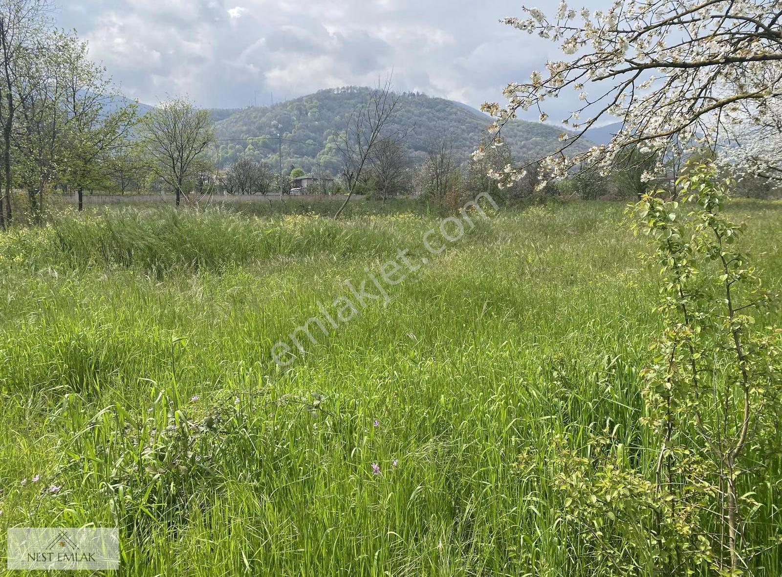 608 M2 İmarlı Arsa - Görsel 9