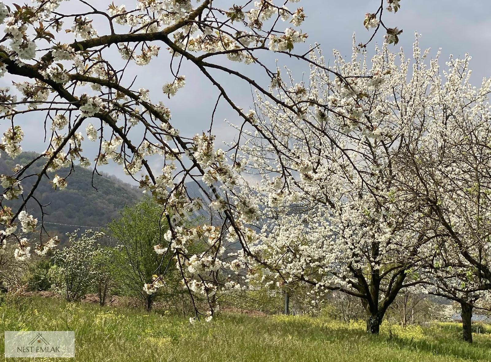 608 M2 İmarlı Arsa - Görsel 4