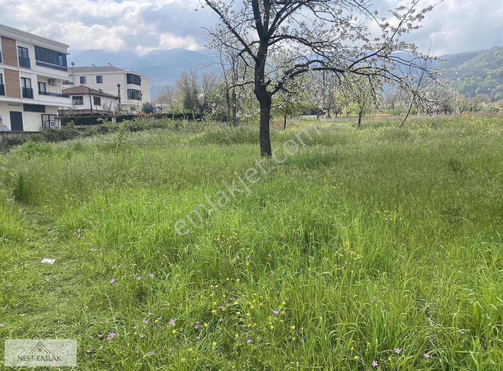 608 M2 İmarlı Arsa - Görsel 2