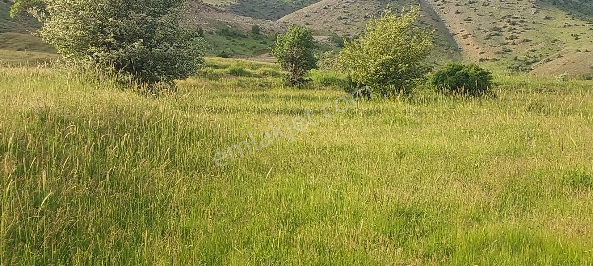 Doğanşehir Fındık Mah. Satılık 6.100m2 Tarla