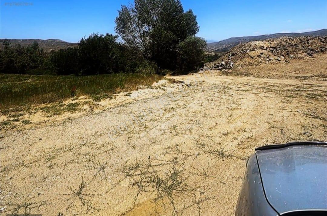 Doğanşehir Fındık Mah. Satılık 6.100m2 Tarla - Görsel 12