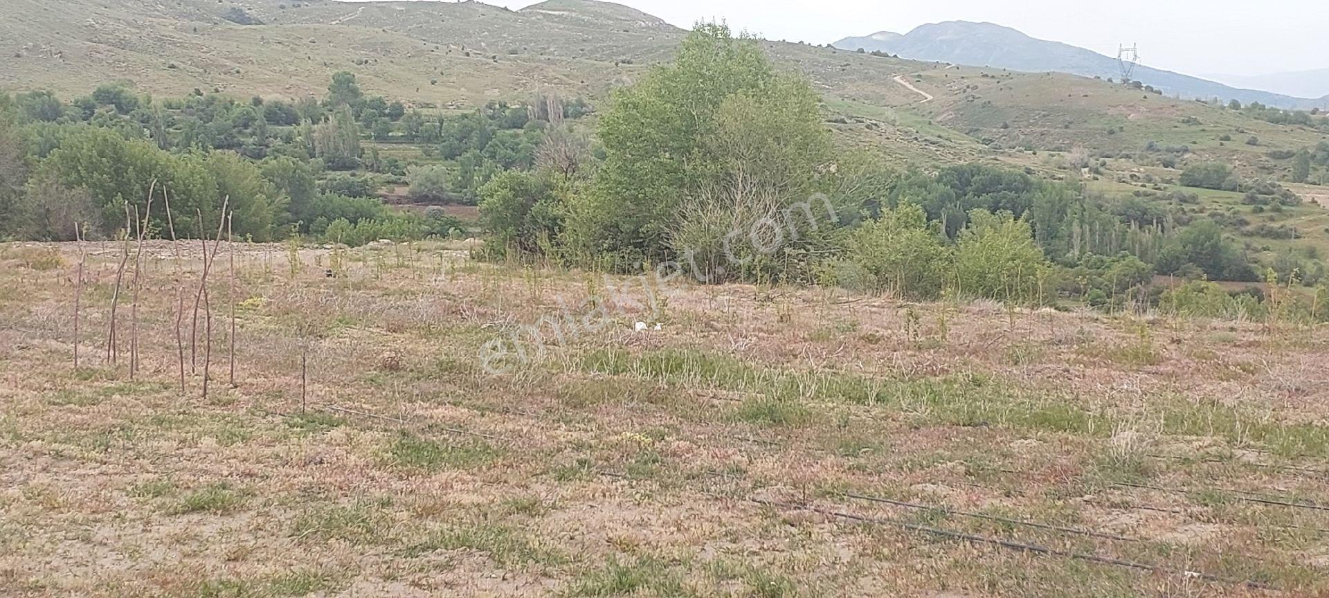 Doğanşehir Fındık Mah. Satılık 6.100m2 Tarla - Görsel 19