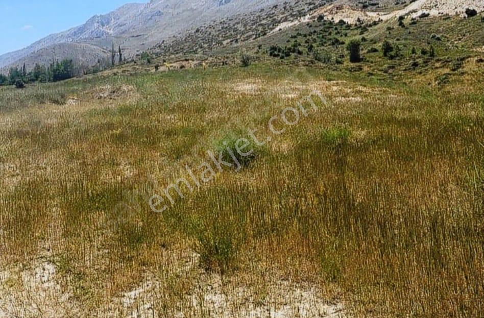 Doğanşehir Fındık Mah. Satılık 6.100m2 Tarla - Görsel 10