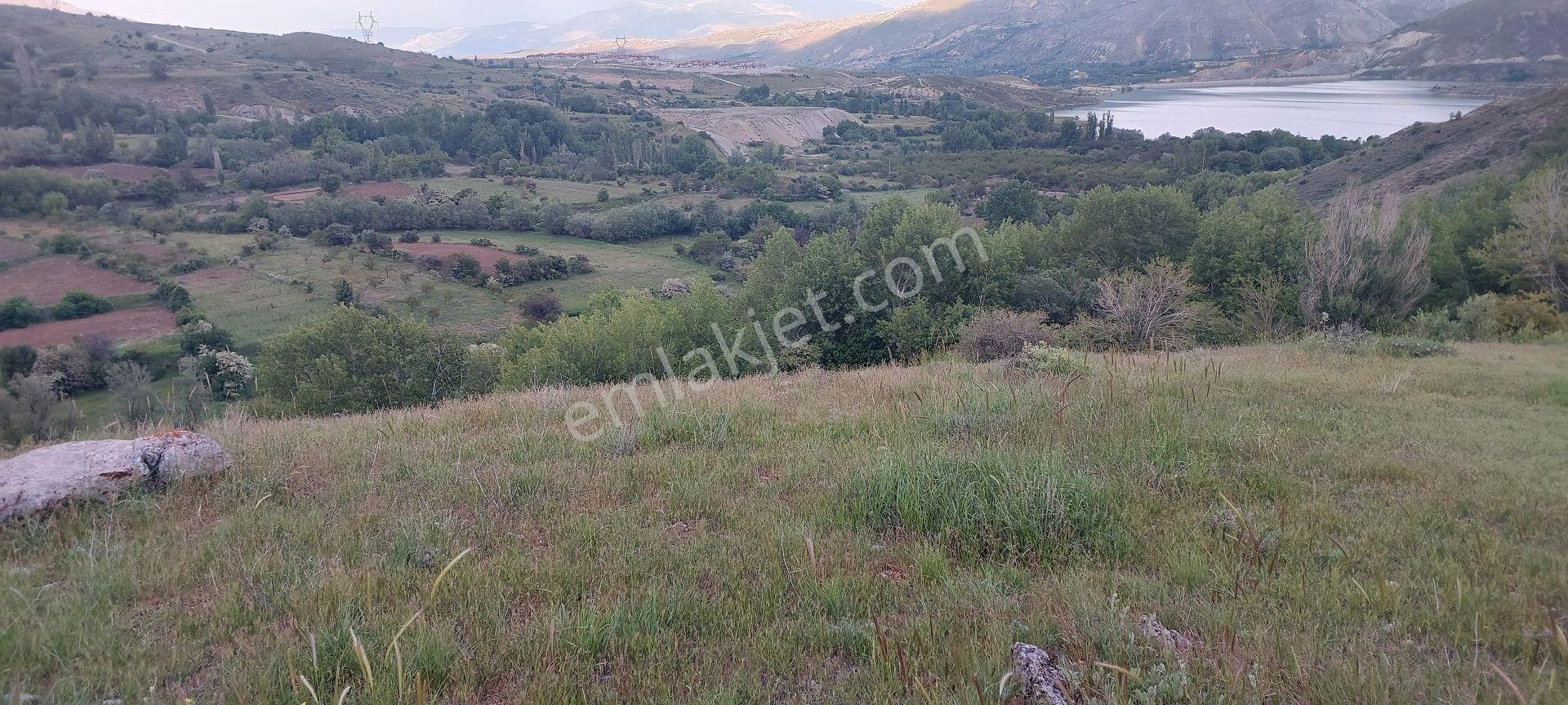 Doğanşehir Fındık Mah. Satılık 6.100m2 Tarla - Görsel 14