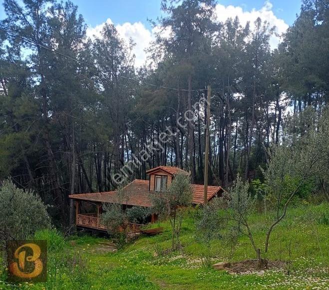 Olympos Ta Kiralık Eşyalı Ahşap Ev.... - Görsel 6