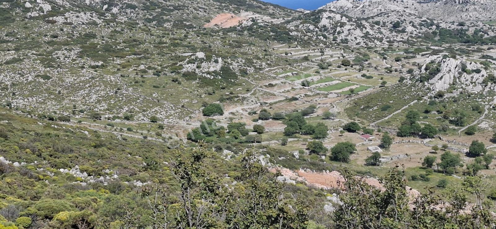 Mabel'den Marmaris Taşlıcada Satılık 4900m2 Tarla - Görsel 5