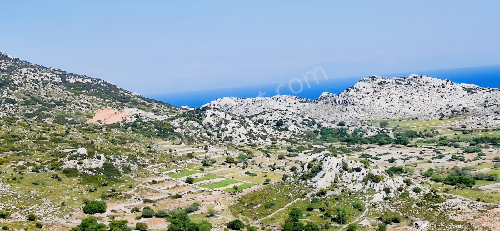 Mabel'den Marmaris Taşlıcada Satılık 4900m2 Tarla - Görsel 2