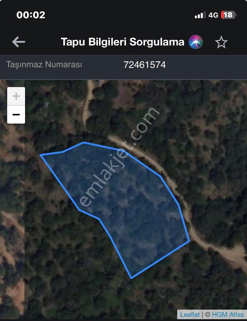 Ödemiş Bıçakçı Kervan Yaylası Kestanelik - Görsel 2