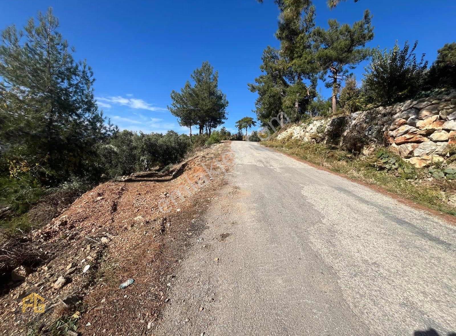 Seydikemer Arsada 900m2 2b Tarla - Görsel 12
