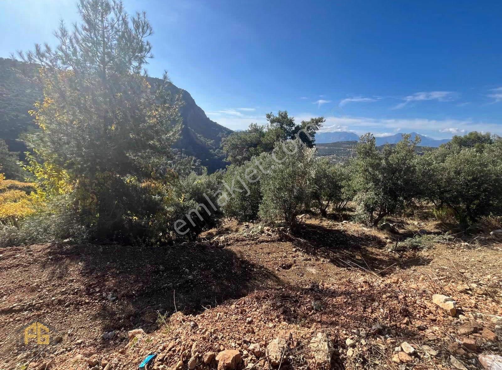 Seydikemer Arsada 900m2 2b Tarla