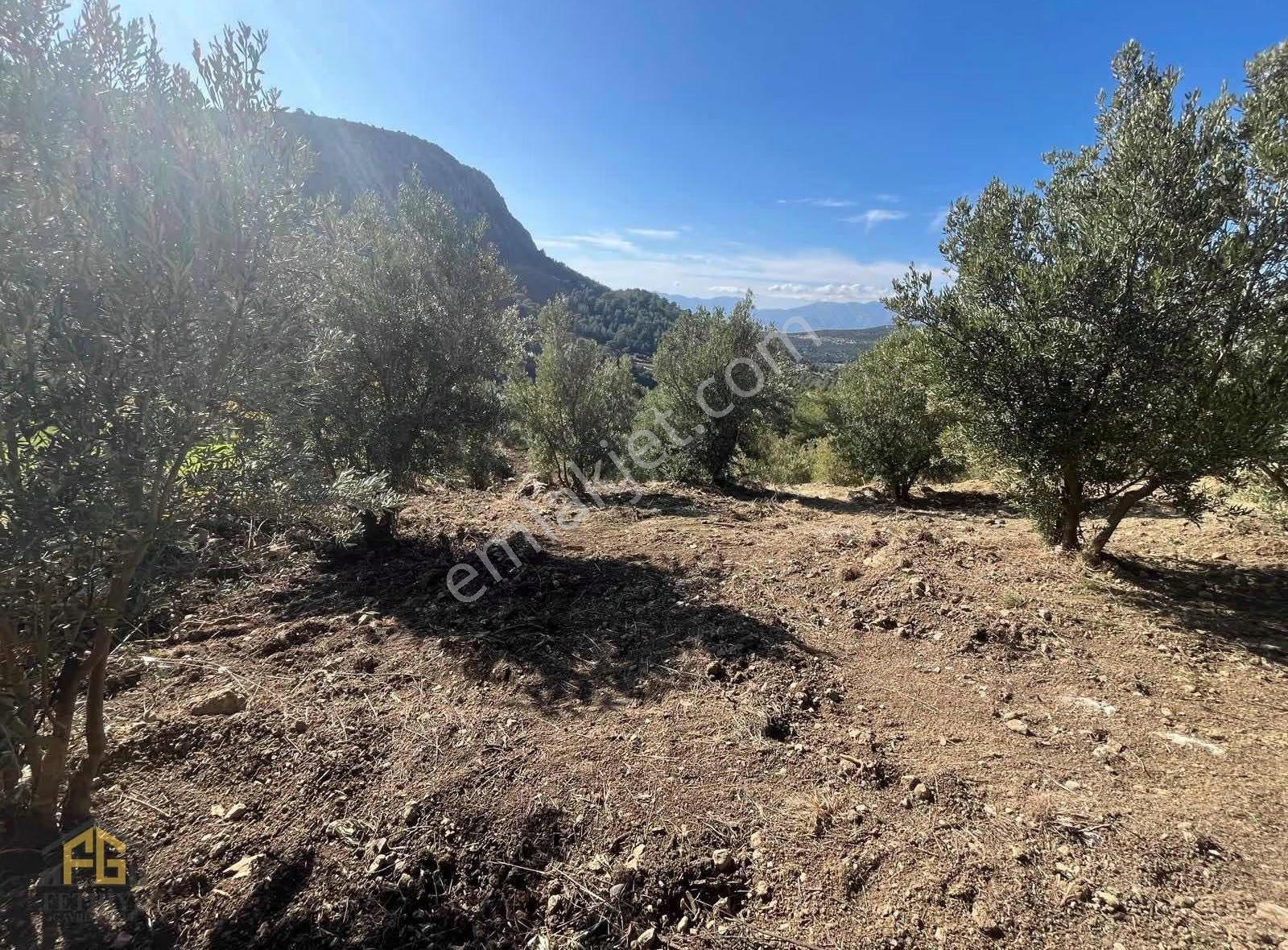 Seydikemer Arsada 900m2 2b Tarla - Görsel 7