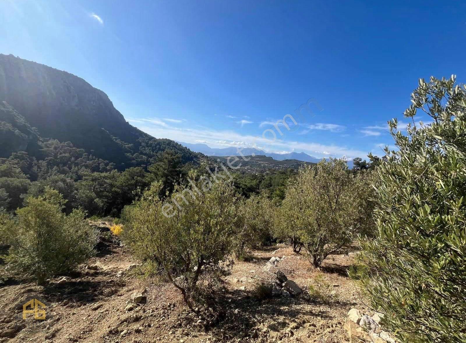 Seydikemer Arsada 900m2 2b Tarla - Görsel 11